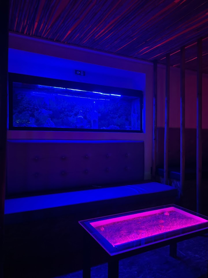 Kudo's LED-lit lounge interior